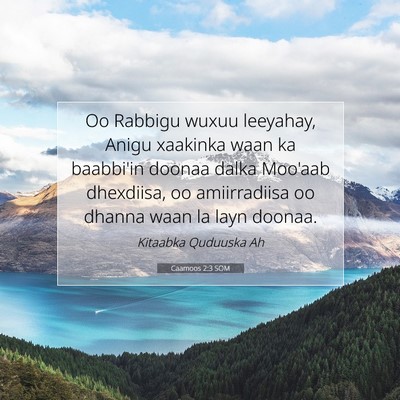Picture 07 - Caamoos 2:3 SOM - Oo Rabbigu wuxuu leeyahay, Anigu xaakinka waan ka - Bible Verse Picture