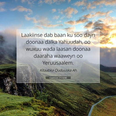 Picture 07 - Caamoos 2:5 SOM - Laakiinse dab baan ku soo dayn doonaa dalka - Bible Verse Picture