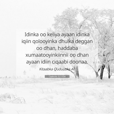 Picture 07 - Caamoos 3:2 SOM - Idinka oo keliya ayaan idinka iqiin qolooyinka - Bible Verse Picture