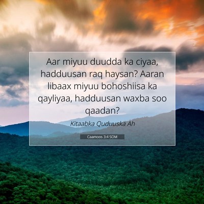 Picture 07 - Caamoos 3:4 SOM - Aar miyuu duudda ka ciyaa, hadduusan raq haysan? - Bible Verse Picture