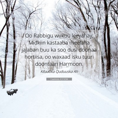 Picture 07 - Caamoos 4:3 SOM - Oo Rabbigu wuxuu leeyahay, Midkiin kastaaba - Bible Verse Picture
