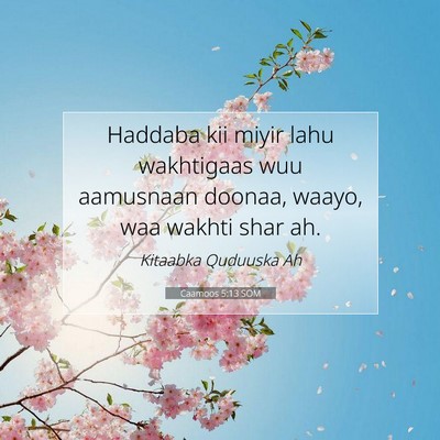 Picture 07 - Caamoos 5:13 SOM - Haddaba kii miyir lahu wakhtigaas wuu aamusnaan - Bible Verse Picture