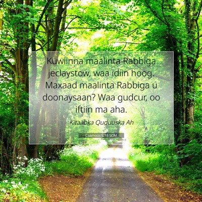 Picture 07 - Caamoos 5:18 SOM - Kuwiinna maalinta Rabbiga jeclaystow, waa idiin - Bible Verse Picture