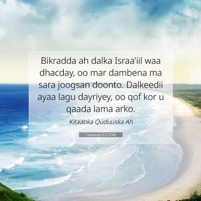 Picture 07 - Caamoos 5:2 SOM - Bikradda ah dalka Israa'iil waa dhacday, oo mar - Bible Verse Picture