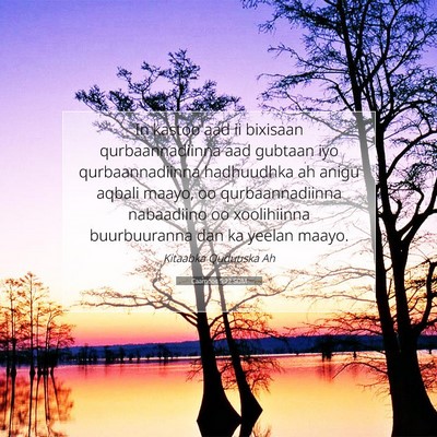 Picture 07 - Caamoos 5:22 SOM - In kastoo aad ii bixisaan qurbaannadiinna aad - Bible Verse Picture