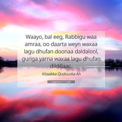 Picture 07 - Caamoos 6:11 SOM - Waayo, bal eeg, Rabbigu waa amraa, oo daarta weyn - Bible Verse Picture