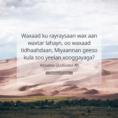 Picture 07 - Caamoos 6:13 SOM - Waxaad ku rayraysaan wax aan waxtar lahayn, oo - Bible Verse Picture