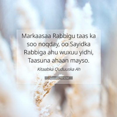 Picture 07 - Caamoos 7:6 SOM - Markaasaa Rabbigu taas ka soo noqday, oo Sayidka - Bible Verse Picture