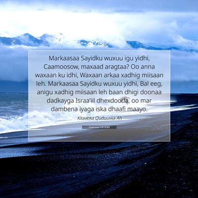 Picture 07 - Caamoos 7:8 SOM - Markaasaa Sayidku wuxuu igu yidhi, Caamoosow, - Bible Verse Picture