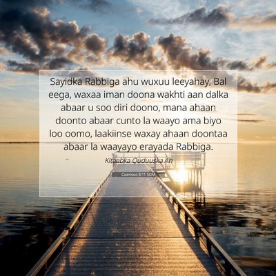 Picture 07 - Caamoos 8:11 SOM - Sayidka Rabbiga ahu wuxuu leeyahay, Bal eega, - Bible Verse Picture