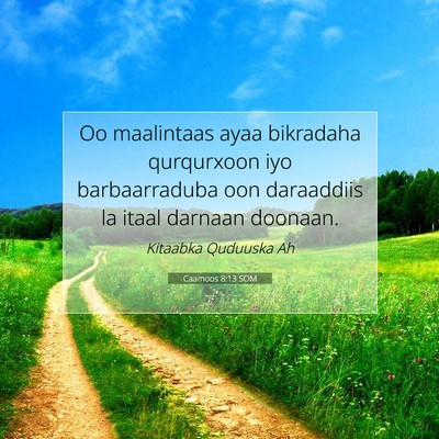 Picture 07 - Caamoos 8:13 SOM - Oo maalintaas ayaa bikradaha qurqurxoon iyo - Bible Verse Picture