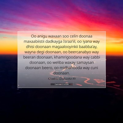 Picture 07 - Caamoos 9:14 SOM - Oo anigu waxaan soo celin doonaa maxaabiistii - Bible Verse Picture