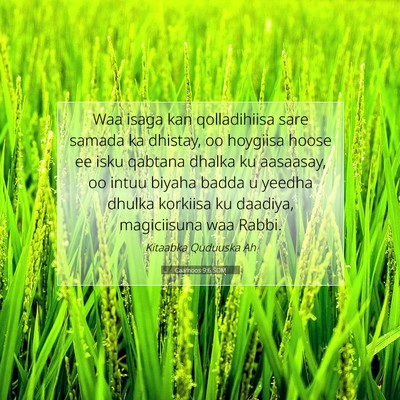 Picture 07 - Caamoos 9:6 SOM - Waa isaga kan qolladihiisa sare samada ka - Bible Verse Picture