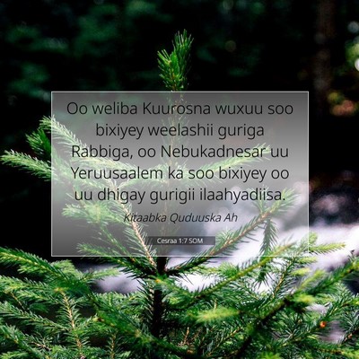 Picture 07 - Cesraa 1:7 SOM - Oo weliba Kuurosna wuxuu soo bixiyey weelashii - Bible Verse Picture
