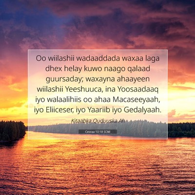 Picture 07 - Cesraa 10:18 SOM - Oo wiilashii wadaaddada waxaa laga dhex helay - Bible Verse Picture