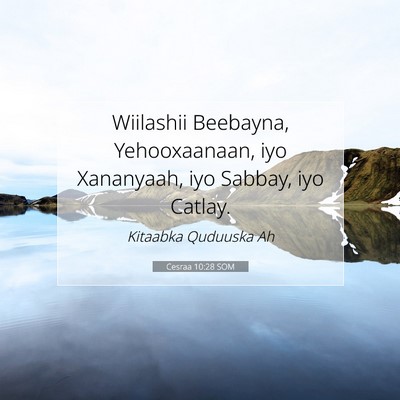 Picture 07 - Cesraa 10:28 SOM - Wiilashii Beebayna, Yehooxaanaan, iyo Xananyaah, - Bible Verse Picture