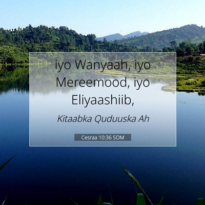 Picture 07 - Cesraa 10:36 SOM - iyo Wanyaah, iyo Mereemood, iyo - Bible Verse Picture