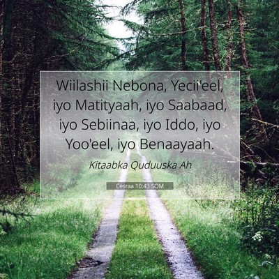 Picture 07 - Cesraa 10:43 SOM - Wiilashii Nebona, Yecii'eel, iyo Matityaah, iyo - Bible Verse Picture