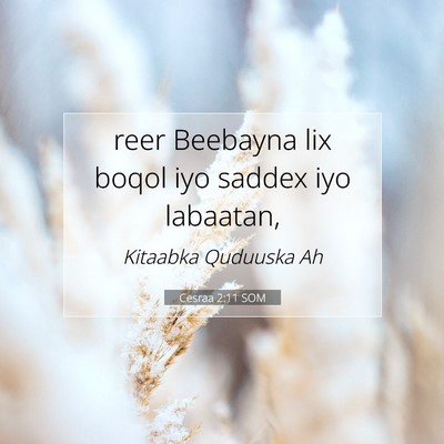 Picture 07 - Cesraa 2:11 SOM - reer Beebayna lix boqol iyo saddex iyo - Bible Verse Picture