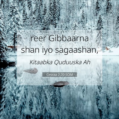 Picture 07 - Cesraa 2:20 SOM - reer Gibbaarna shan iyo - Bible Verse Picture