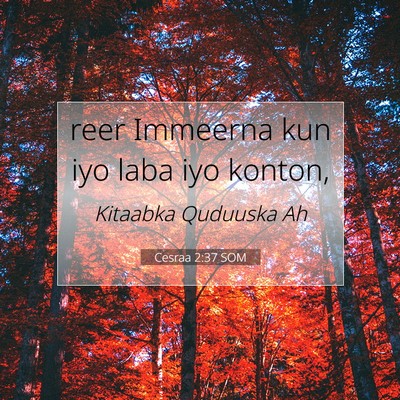 Picture 07 - Cesraa 2:37 SOM - reer Immeerna kun iyo laba iyo - Bible Verse Picture