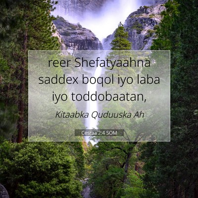 Picture 07 - Cesraa 2:4 SOM - reer Shefatyaahna saddex boqol iyo laba iyo - Bible Verse Picture
