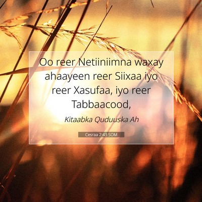 Picture 07 - Cesraa 2:43 SOM - Oo reer Netiiniimna waxay ahaayeen reer Siixaa - Bible Verse Picture
