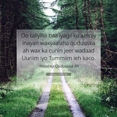 Picture 07 - Cesraa 2:63 SOM - Oo taliyihii baa iyagii ku amray inayan - Bible Verse Picture