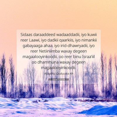 Picture 07 - Cesraa 2:70 SOM - Sidaas daraaddeed wadaaddadii, iyo kuwii reer - Bible Verse Picture