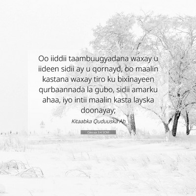 Picture 07 - Cesraa 3:4 SOM - Oo iiddii taambuugyadana waxay u iideen sidii ay - Bible Verse Picture