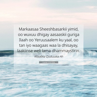 Picture 07 - Cesraa 5:16 SOM - Markaasaa Sheeshbasarkii yimid, oo wuxuu dhigay - Bible Verse Picture