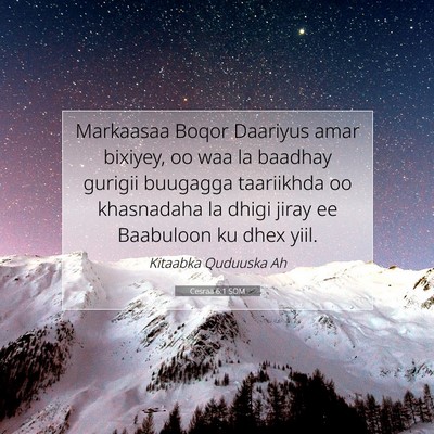 Picture 07 - Cesraa 6:1 SOM - Markaasaa Boqor Daariyus amar bixiyey, oo waa la - Bible Verse Picture