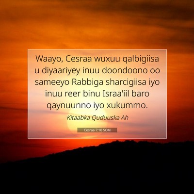 Picture 07 - Cesraa 7:10 SOM - Waayo, Cesraa wuxuu qalbigiisa u diyaariyey inuu - Bible Verse Picture
