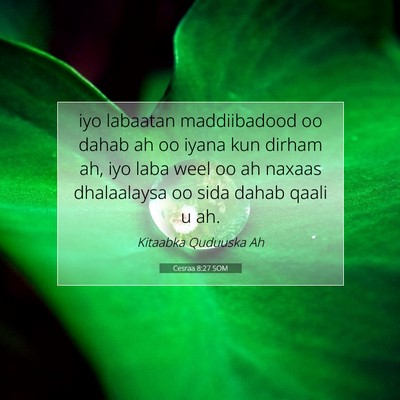 Picture 07 - Cesraa 8:27 SOM - iyo labaatan maddiibadood oo dahab ah oo iyana - Bible Verse Picture