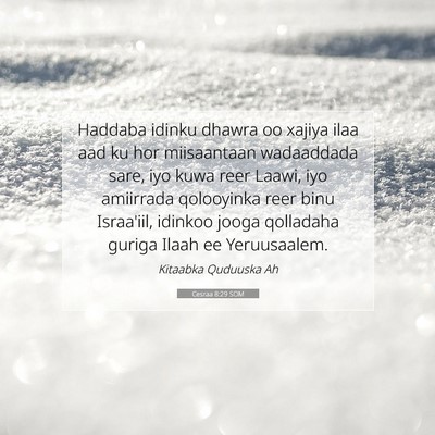 Picture 07 - Cesraa 8:29 SOM - Haddaba idinku dhawra oo xajiya ilaa aad ku hor - Bible Verse Picture