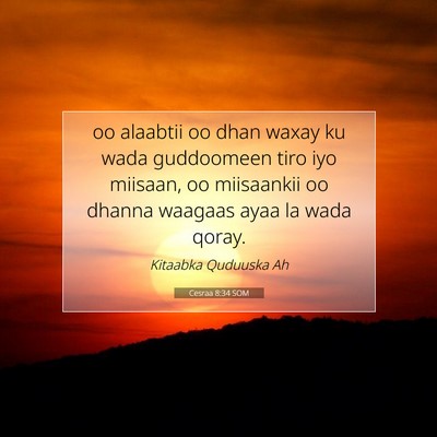 Picture 07 - Cesraa 8:34 SOM - oo alaabtii oo dhan waxay ku wada guddoomeen tiro - Bible Verse Picture