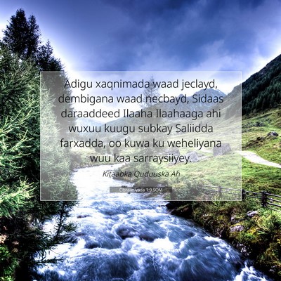 Picture 07 - Cibraaniyada 1:9 SOM - Adigu xaqnimada waad jeclayd, dembigana waad - Bible Verse Picture