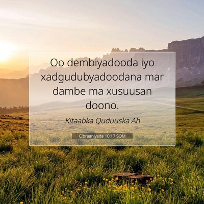 Picture 07 - Cibraaniyada 10:17 SOM - Oo dembiyadooda iyo xadgudubyadoodana mar dambe - Bible Verse Picture