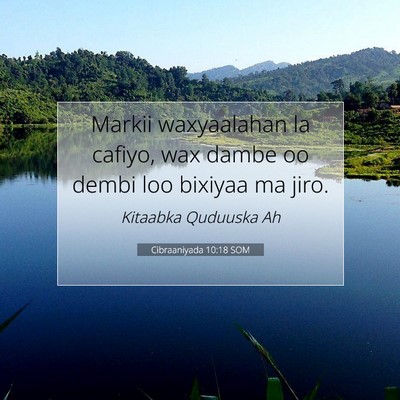 Picture 07 - Cibraaniyada 10:18 SOM - Markii waxyaalahan la cafiyo, wax dambe oo dembi - Bible Verse Picture
