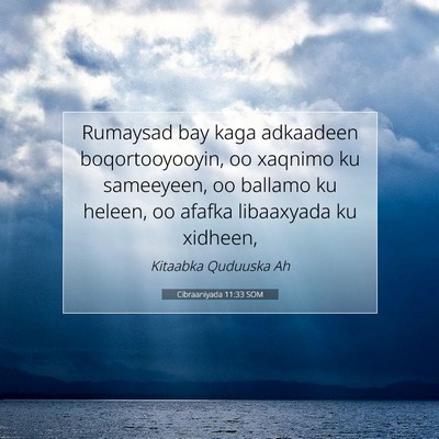 Picture 07 - Cibraaniyada 11:33 SOM - Rumaysad bay kaga adkaadeen boqortooyooyin, oo - Bible Verse Picture