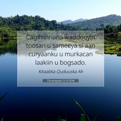 Picture 07 - Cibraaniyada 12:13 SOM - Cagihiinnana waddooyin toosan u sameeya si aan - Bible Verse Picture