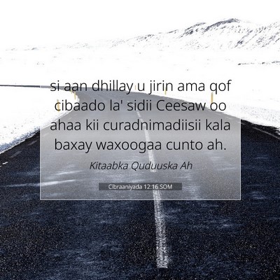 Picture 07 - Cibraaniyada 12:16 SOM - si aan dhillay u jirin ama qof cibaado la' sidii - Bible Verse Picture