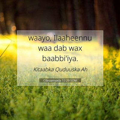 Picture 07 - Cibraaniyada 12:29 SOM - waayo, Ilaaheennu waa dab wax - Bible Verse Picture