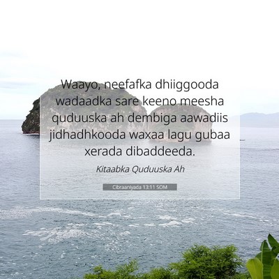 Picture 07 - Cibraaniyada 13:11 SOM - Waayo, neefafka dhiiggooda wadaadka sare keeno - Bible Verse Picture