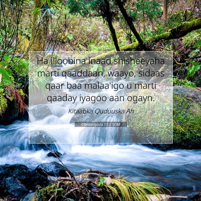 Picture 07 - Cibraaniyada 13:2 SOM - Ha illoobina inaad shisheeyaha marti qaaddaan, - Bible Verse Picture