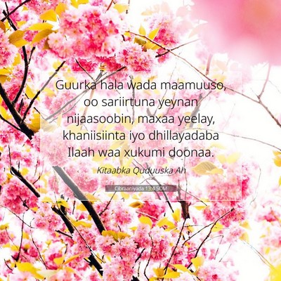 Picture 07 - Cibraaniyada 13:4 SOM - Guurka hala wada maamuuso, oo sariirtuna yeynan - Bible Verse Picture