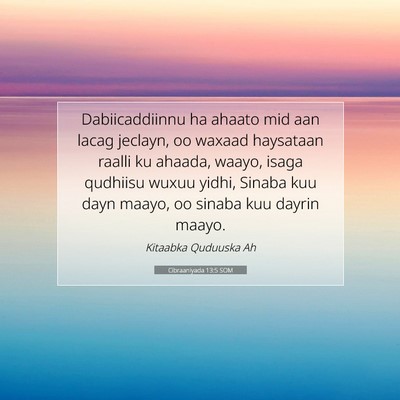 Picture 07 - Cibraaniyada 13:5 SOM - Dabiicaddiinnu ha ahaato mid aan lacag jeclayn, - Bible Verse Picture