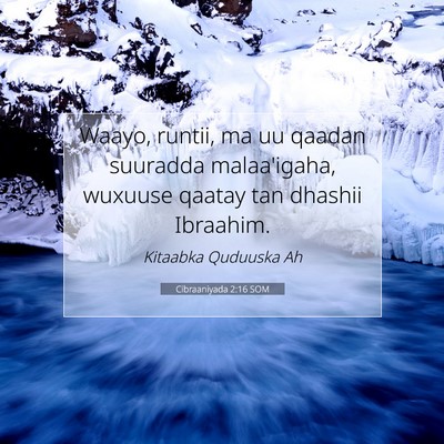 Picture 07 - Cibraaniyada 2:16 SOM - Waayo, runtii, ma uu qaadan suuradda malaa'igaha, - Bible Verse Picture