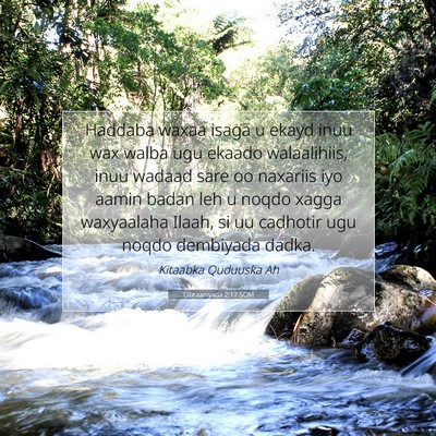 Picture 07 - Cibraaniyada 2:17 SOM - Haddaba waxaa isaga u ekayd inuu wax walba ugu - Bible Verse Picture