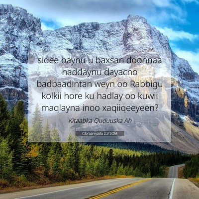 Picture 07 - Cibraaniyada 2:3 SOM - sidee baynu u baxsan doonnaa haddaynu dayacno - Bible Verse Picture